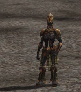Prophet's Aide