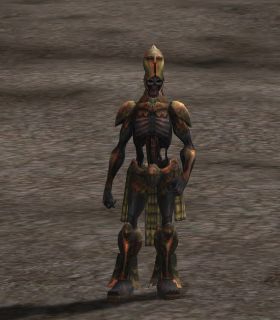 Varka's Head Guard