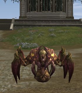 Assassin Beetle