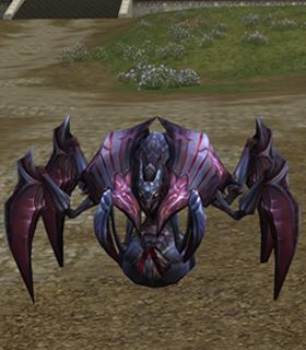 Tera Beetle