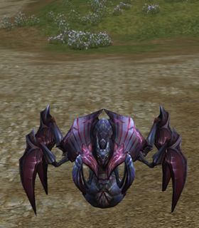 Jamadar Beetle