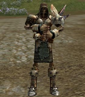 Heathen Knight