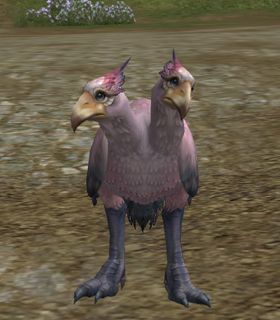 Alpen Kookaburra