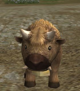 Alpen Buffalo