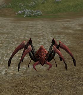 Scavenger Ant