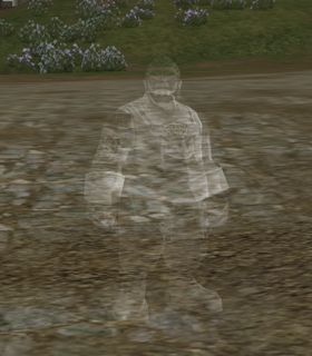 Grave Robber Lookout