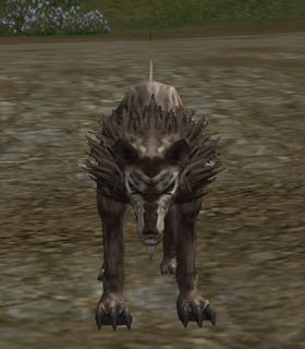 Bandit Hound