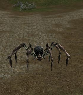 Dark Spider