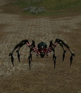 Spelunking Spider