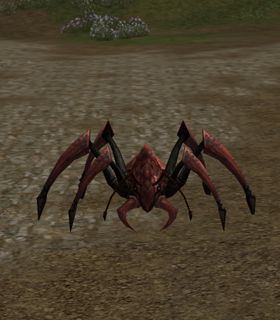 Spelunking Ant