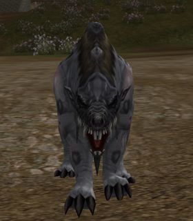 Lost Bandersnatch