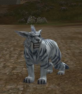 Panthera