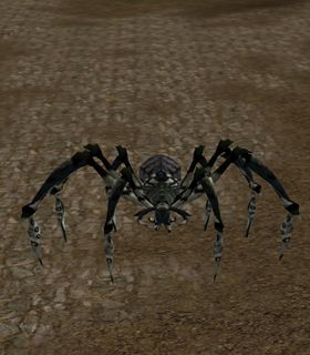 Ice Tarantula
