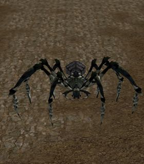 Frost Tarantula