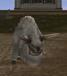 Lost Buffalo