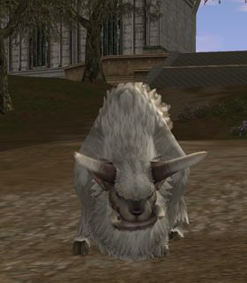 Frost Buffalo