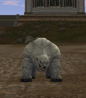 Ursus Cub