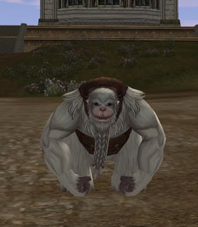 Lost Yeti