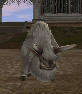 Freya's Buffalo