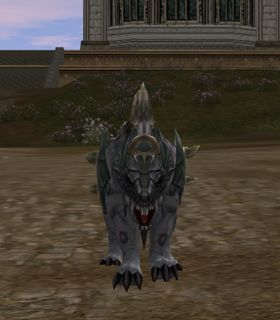 Freya's Dog