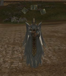 Guardian of the Holy Land
