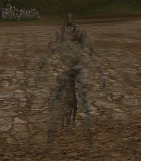 Forgotten Victim