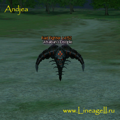 Atraiban's Disciple