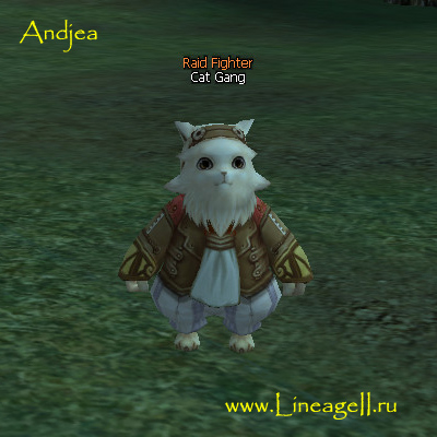 Cat Gang