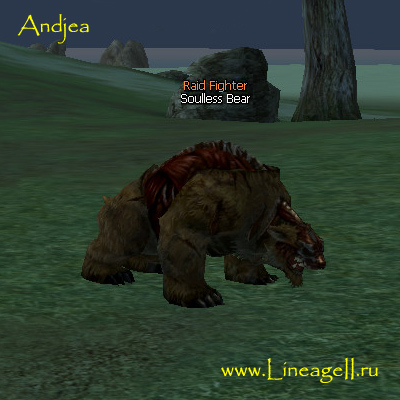 Soulless Bear