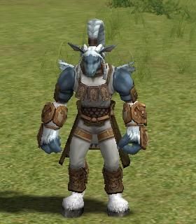 Korim Chief Guard Kaywon