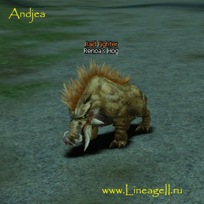 Renoa's Hog