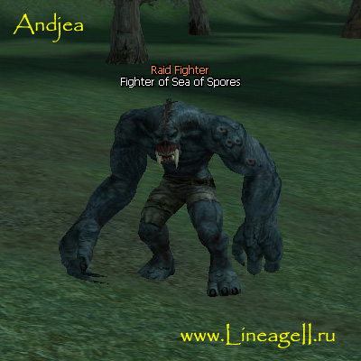 Fighter of Sea of Spores