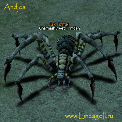 Gharmash's Pet Trimden