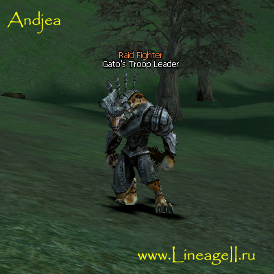 Gato's Troop Leader