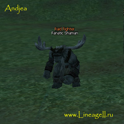 Fanatic Shaman