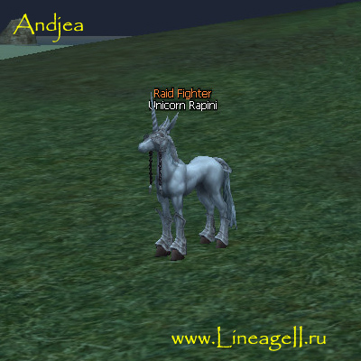 Rapini the Unicorn