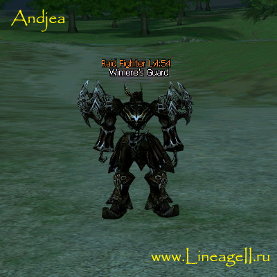Guardian Knight of Black Lily