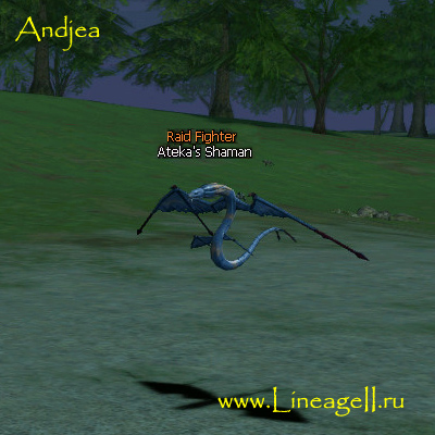 Ateka's Shaman