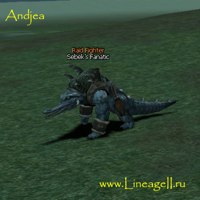 Sebek's Fanatic