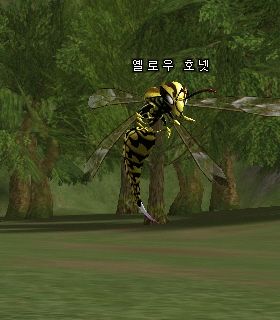 Yellow Hornet