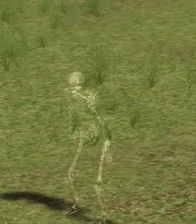 Anima Scavenger
