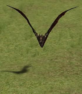 Hostile Flyer