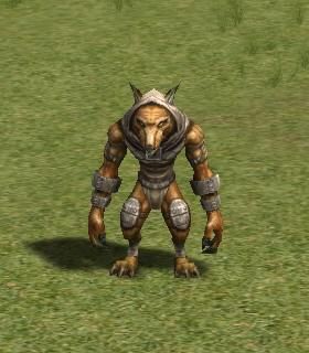 Kelbar's Wizard
