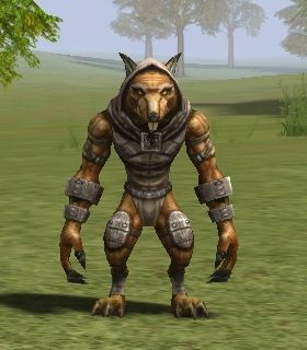 Varool Foulclaw