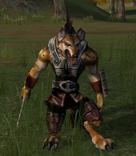 Cat's Eye Bandit