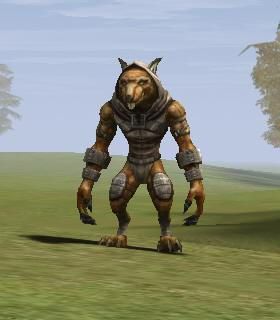 Kuruka Ratman Leader