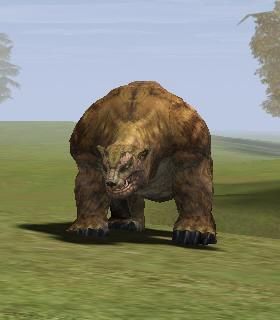 Honey Bear