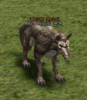Tanukia's Warhound