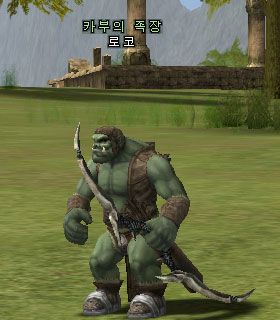 Roko