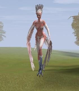 Harpy Matriarch